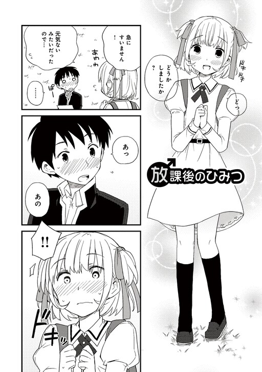 Houkago no himitsu